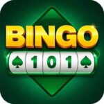 Bingo 101