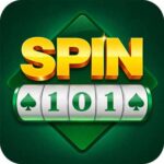 Spin 101